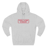 I Fucked The Girl In Hanson - Hoodie